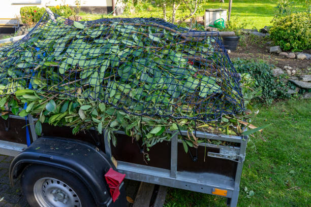 Best Hoarding Cleanup  in Corunna, MI